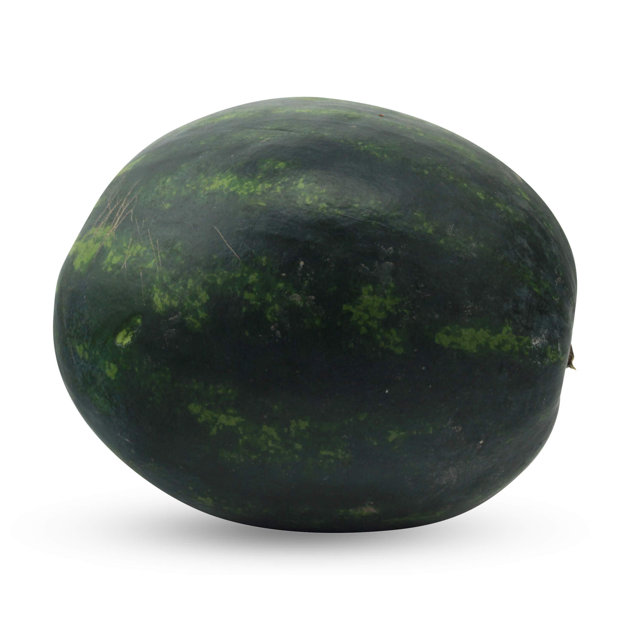 Melon Watermelon Regular Conventional, 1 Each