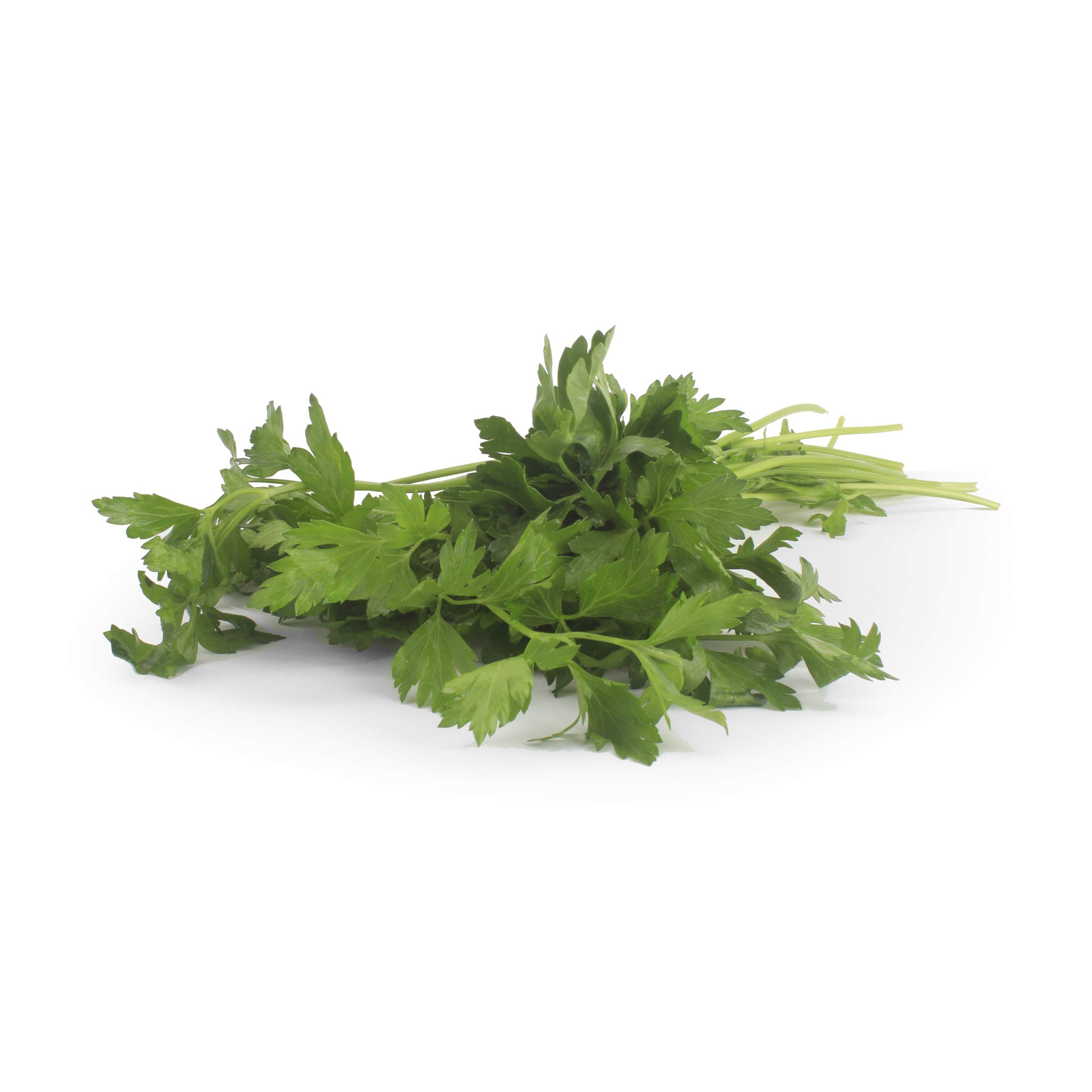Organic Italian Parsley, 1 Bunch