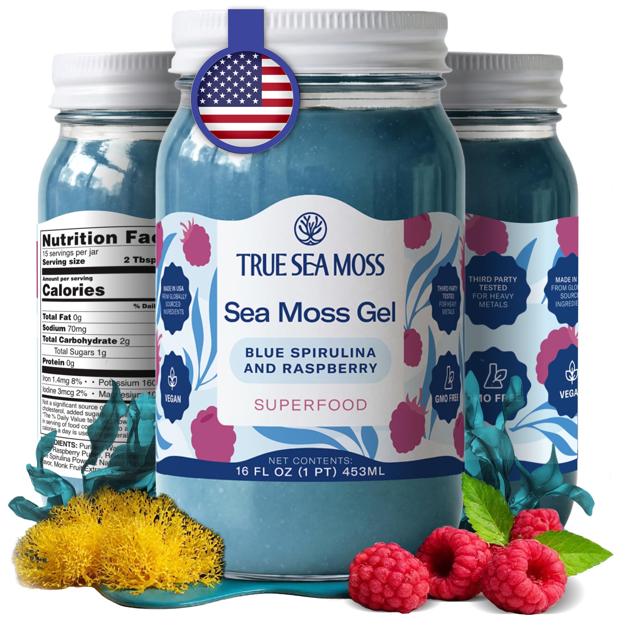 TrueSeaMoss Sea Moss Gel – Made in USA – Wildcrafted Seamoss, Fruits & Jarred Vegetables – Blue Spirulina, Pack of 1 (Labels may Vary)