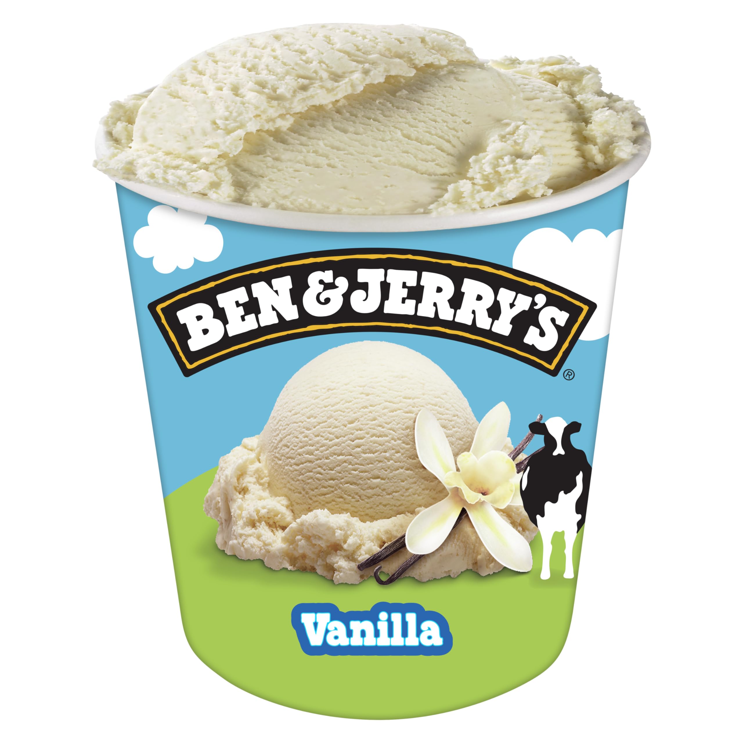 Ben & Jerry's Vanilla Ice Cream Pint 16 oz
