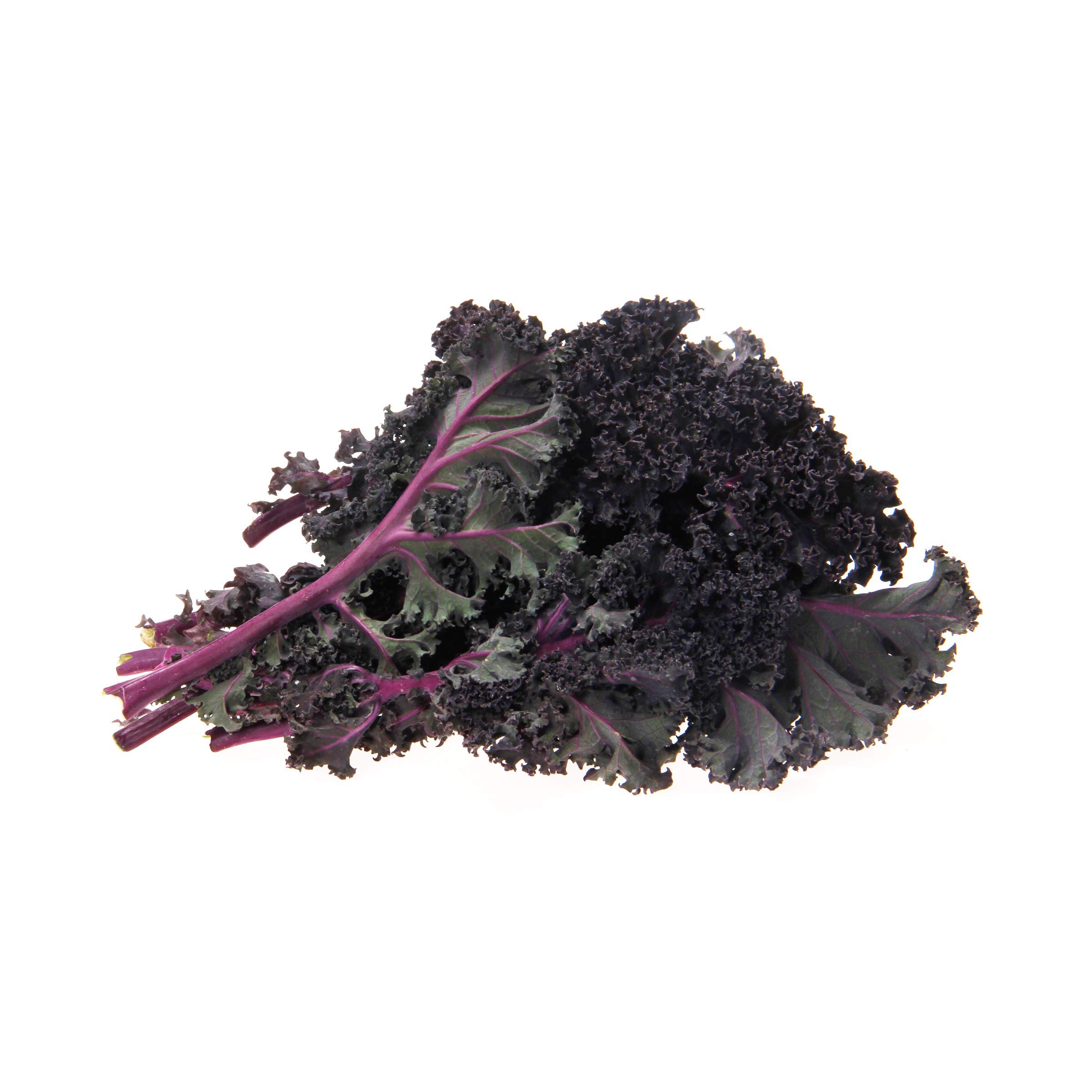 Produce Organic Red Kale, 1 EA