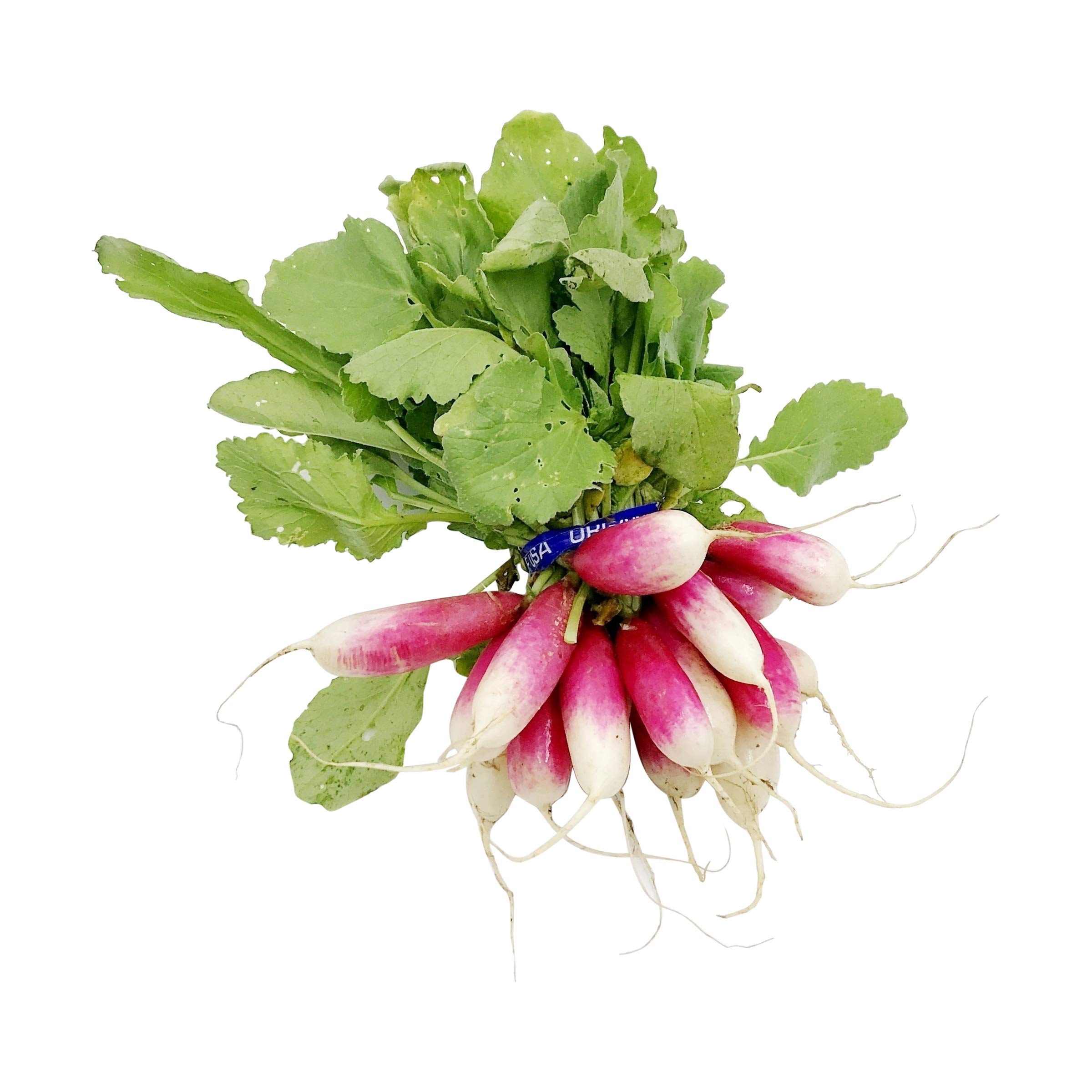 Organic French Radish