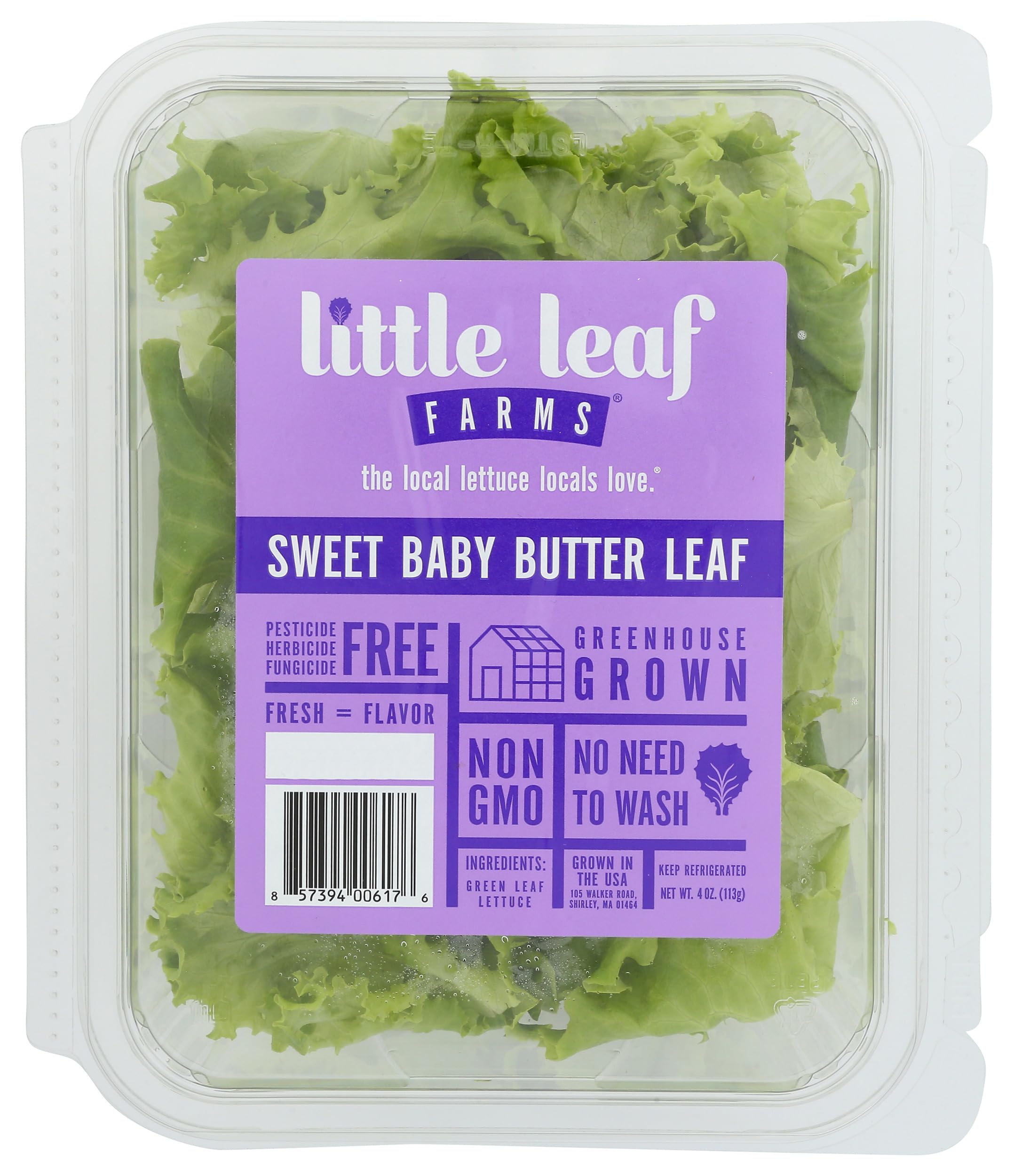 Salad Lettuce Leaf Butter Baby Clamshell Conventional, 4 Ounce