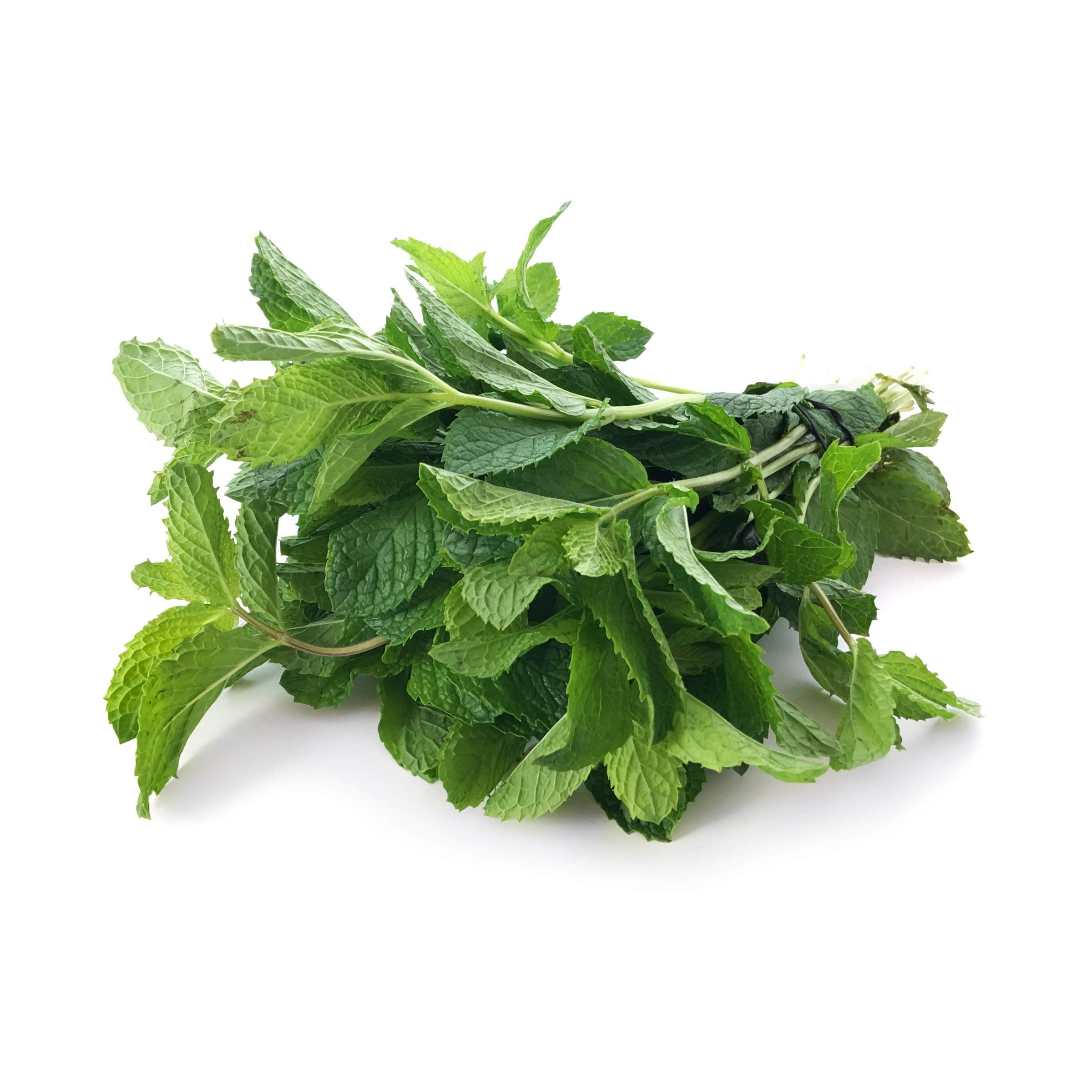 Organic Spearmint, 0.5 OZ