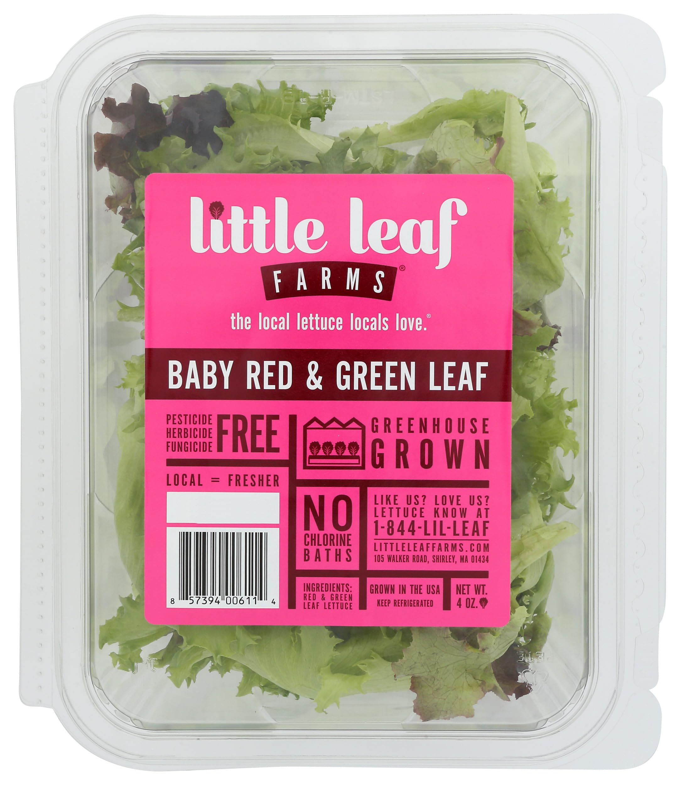 Salad Clamshell Little Leaf Red/Green Conventional, 4 Ounce