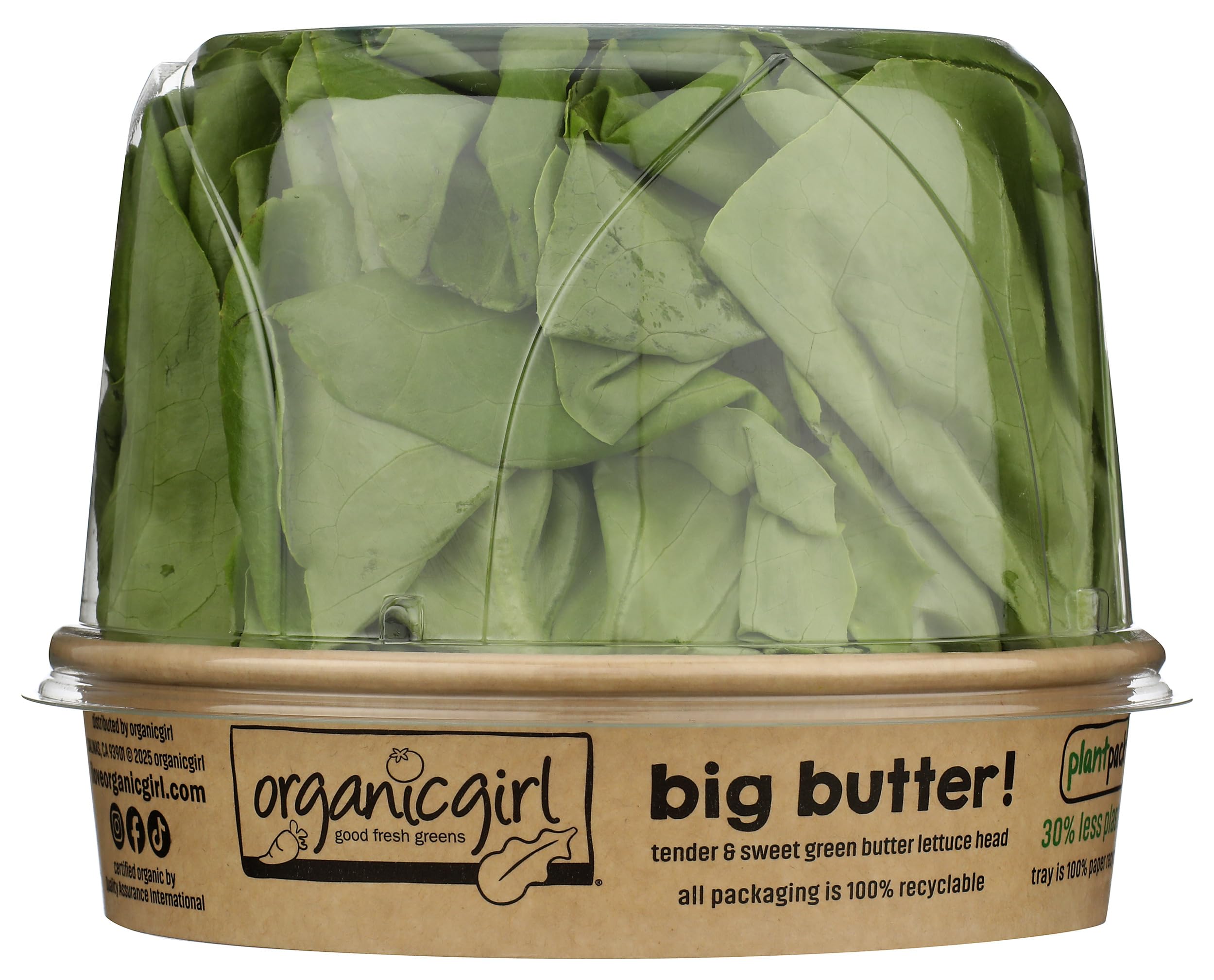 Organic Girl, Clamshell Lettuce Butter Green Salad Organic