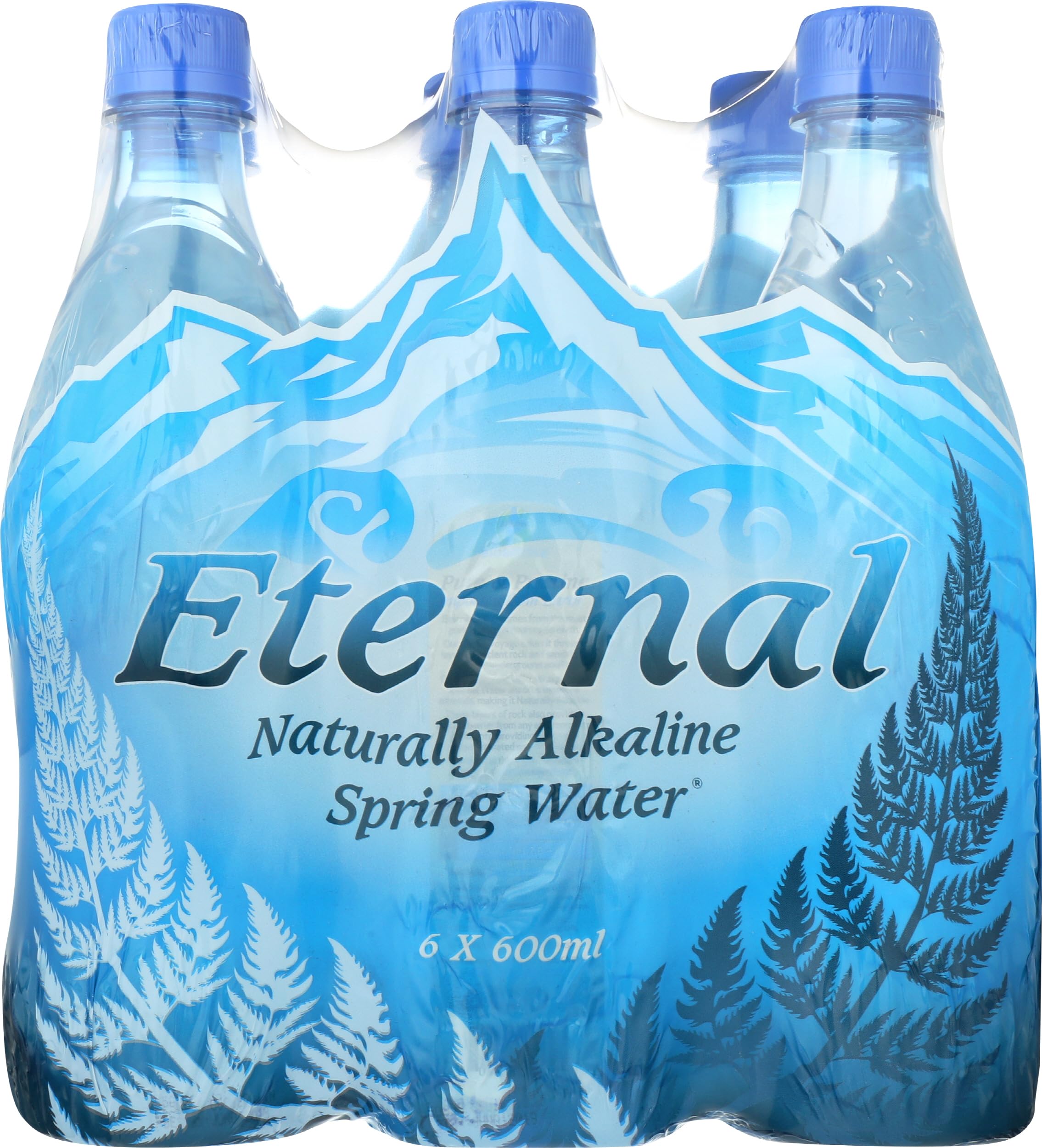 Eternal Water Artesian Spring Water 6 pk, 20.2 FZ