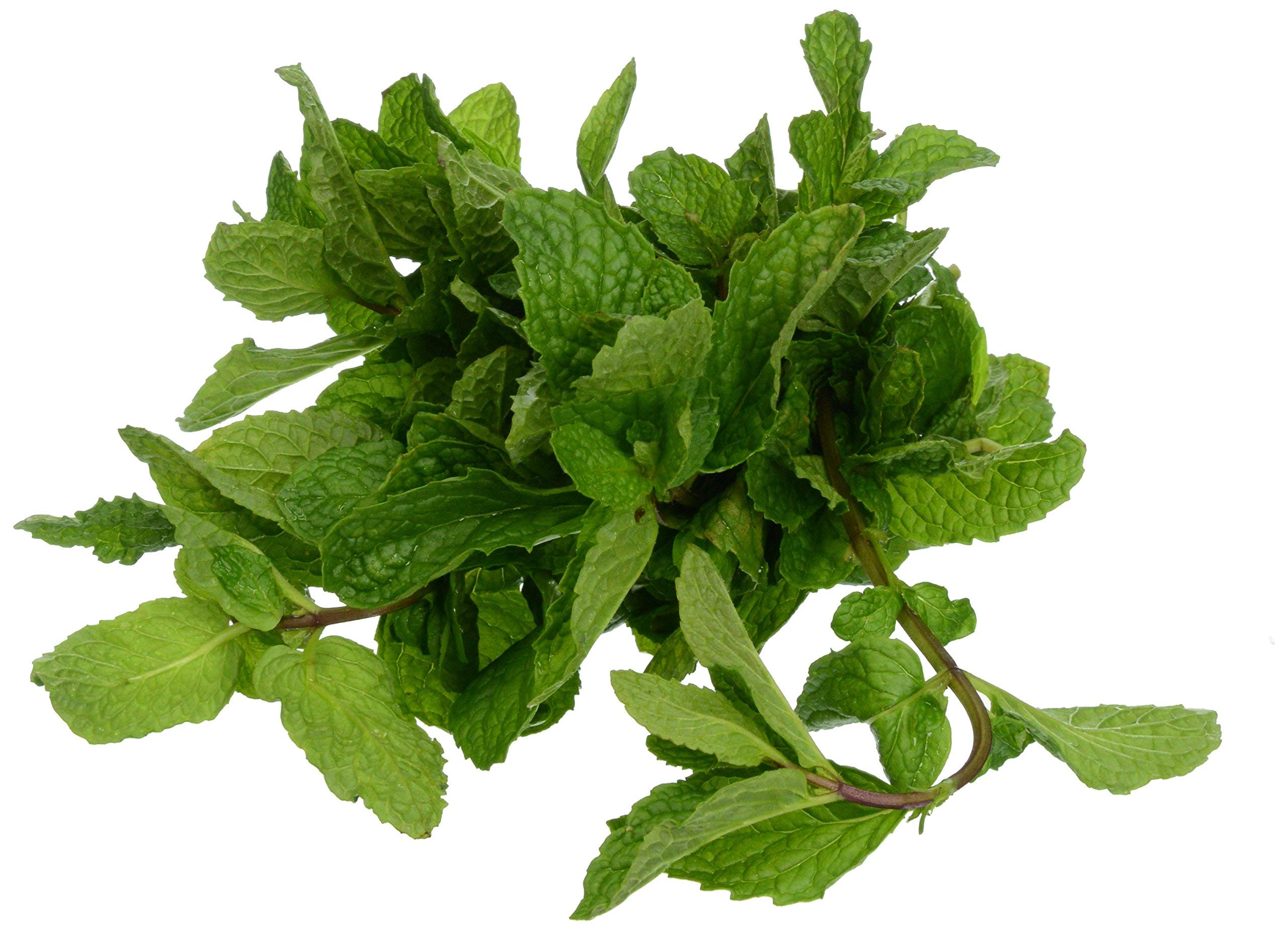 Rock Garden Organic Mint, 1 OZ