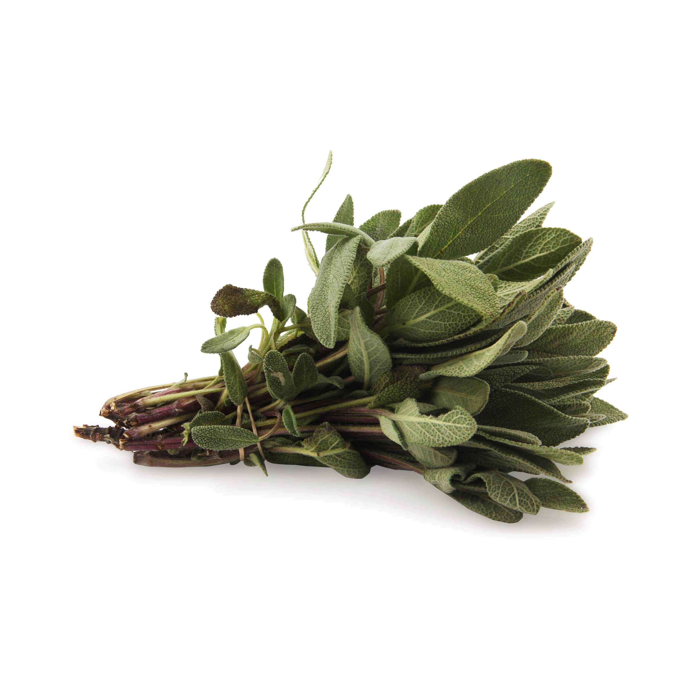 NING DERMOLOGIE Herb Sage Organic, 0.75 Ounce
