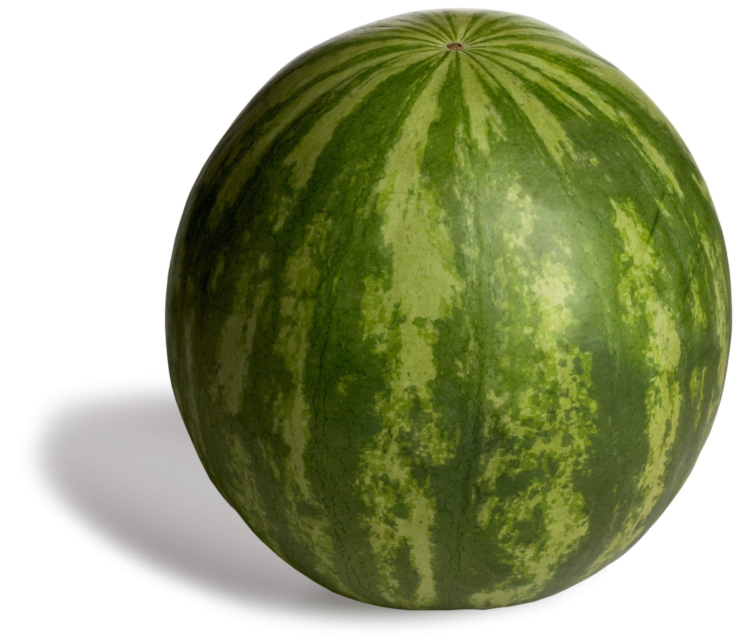 Seedless Watermelon