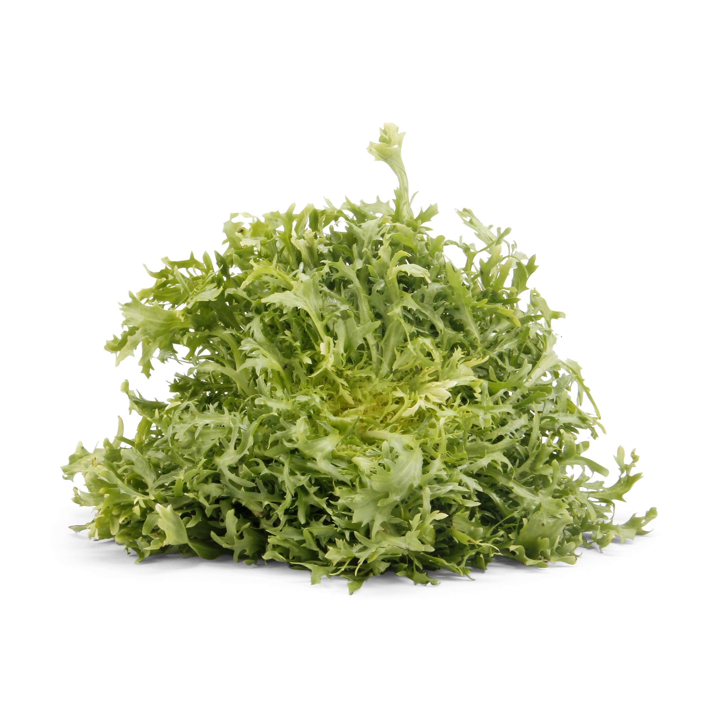 Organic Curly Endive