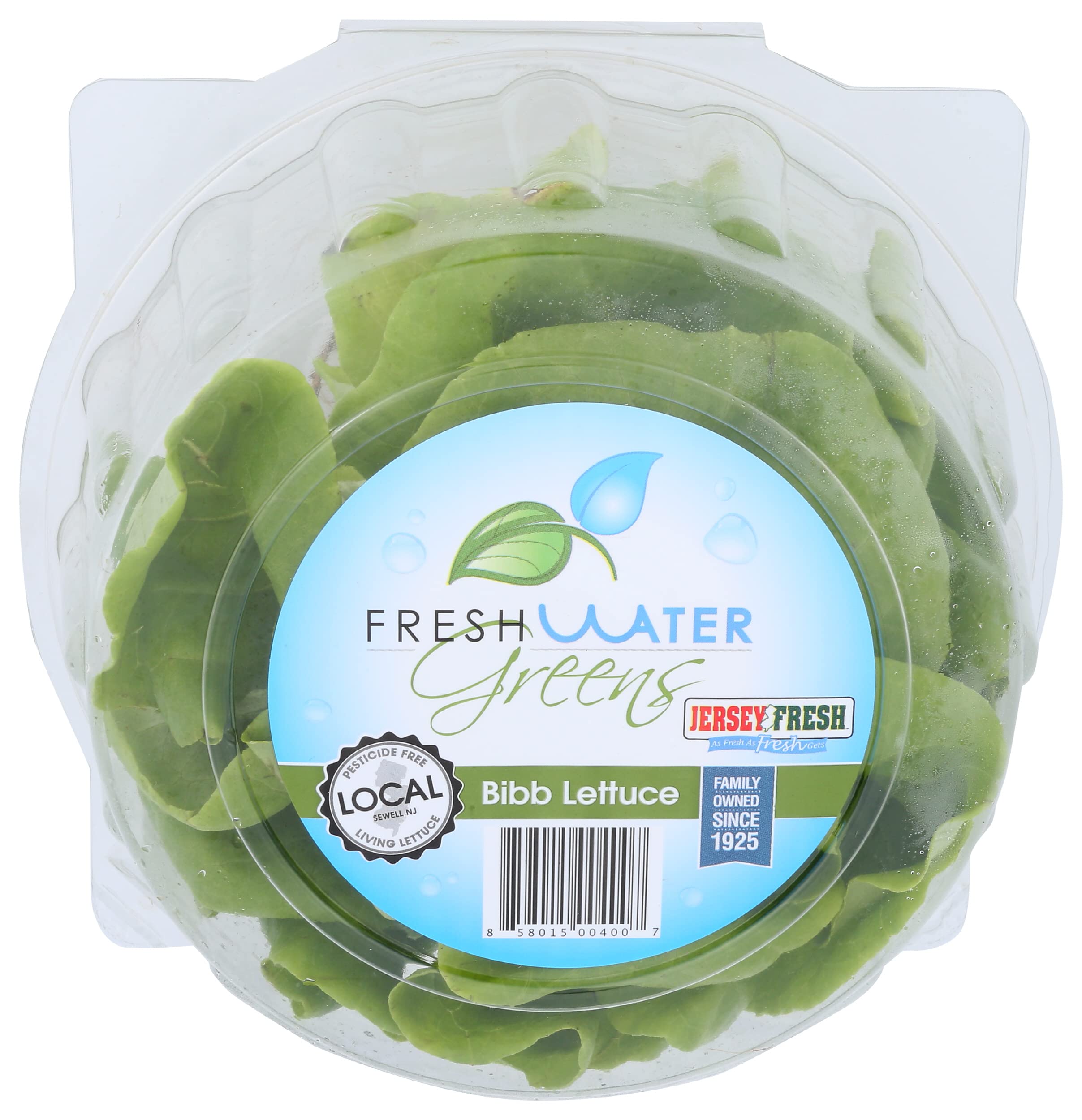 Fresh Water Greens Butter Lettuce, 1 EA
