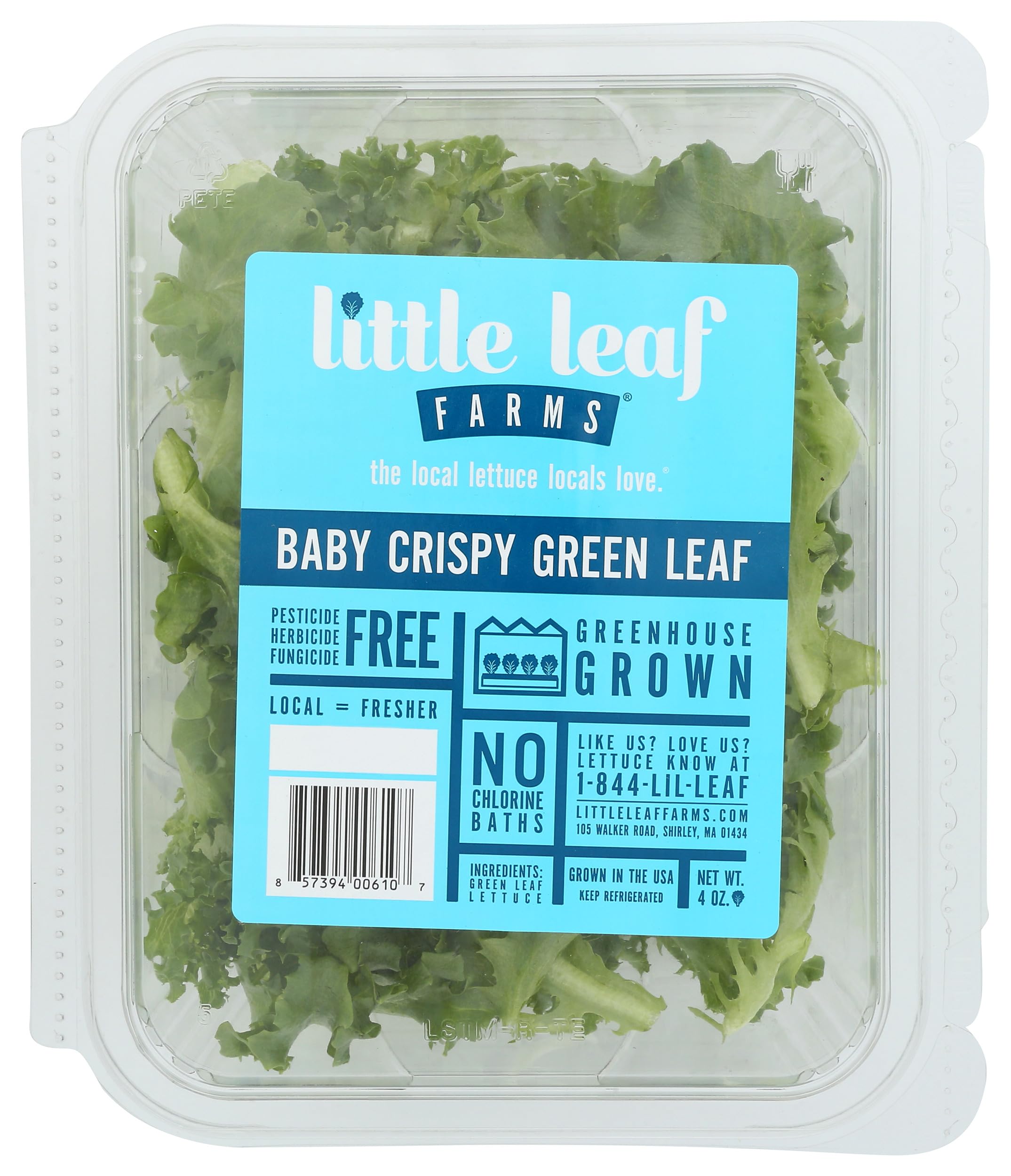Salad Clamshell Green Conventional, 4 Ounce