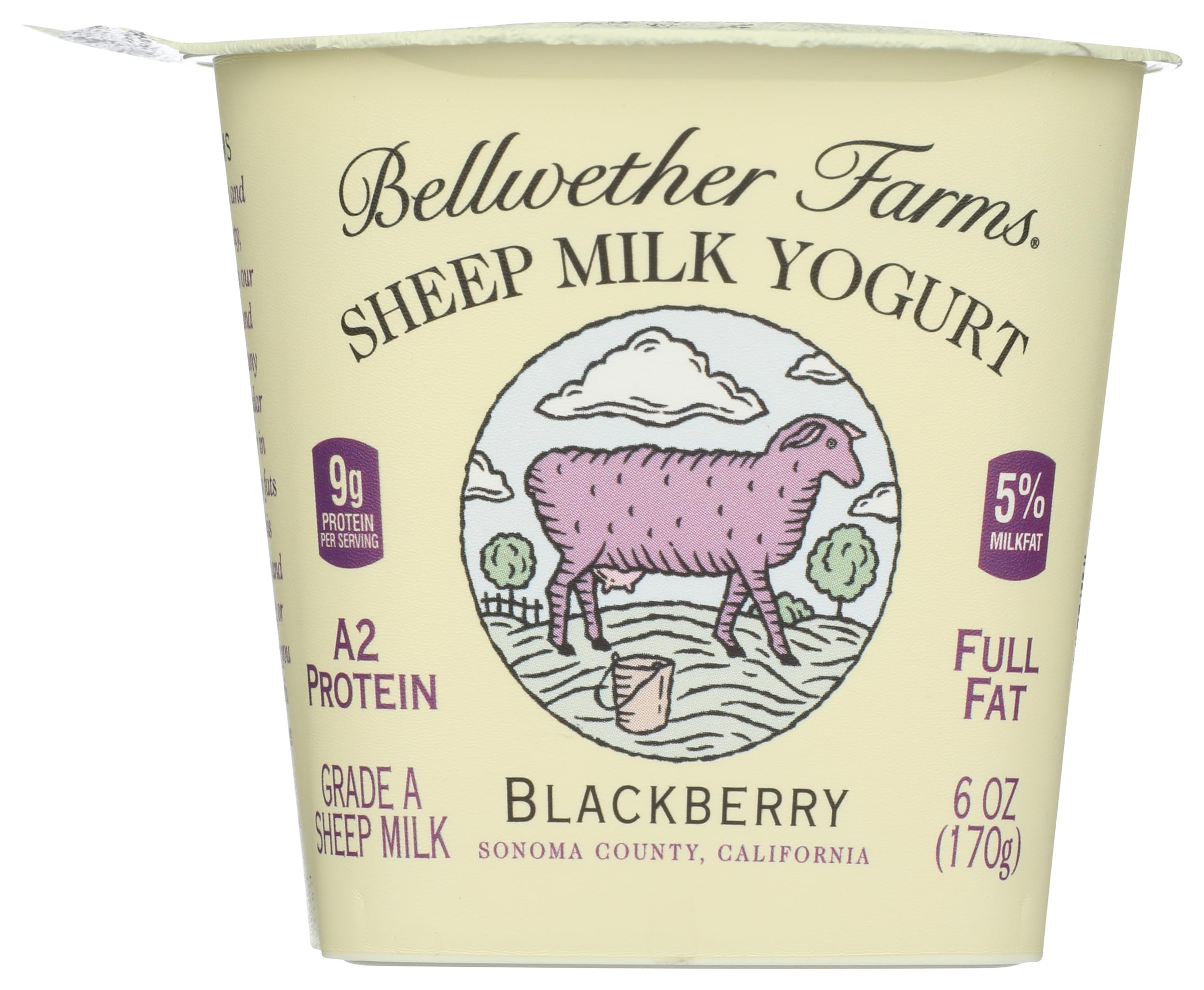 Yogurt Sheep Milk Blackberry, 6 Ounce