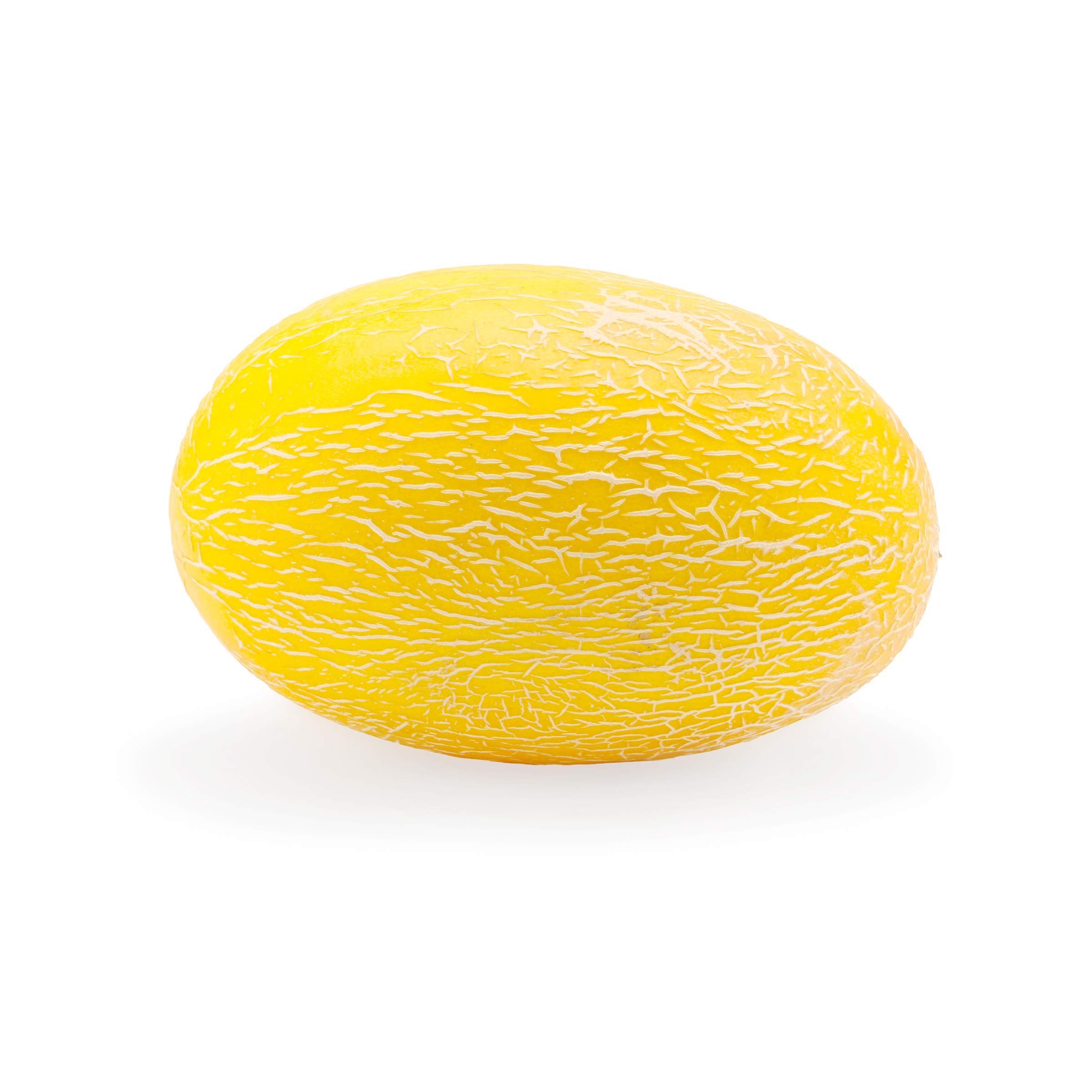 Melon Hami