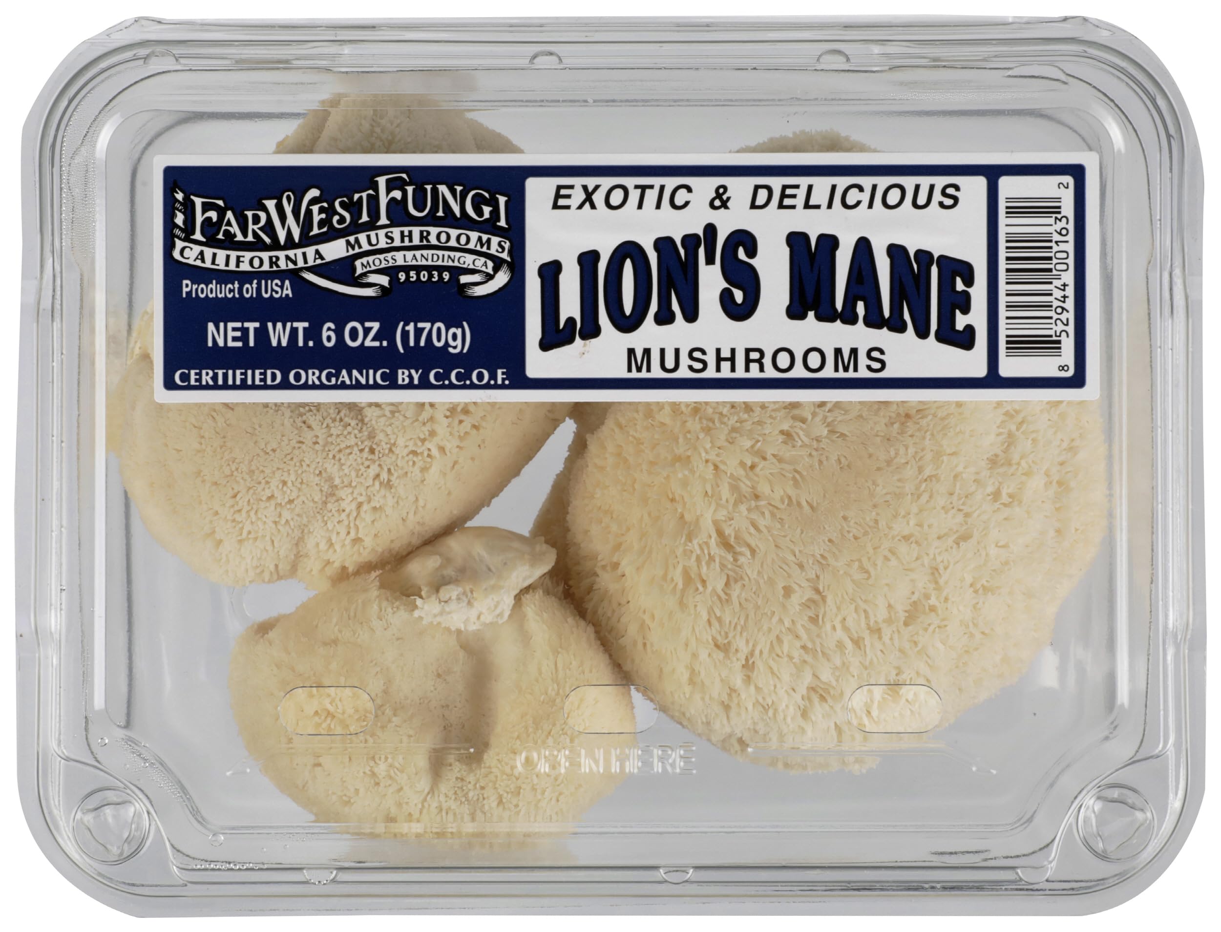 Organic Lions Mane Mushroom, 6 OZ