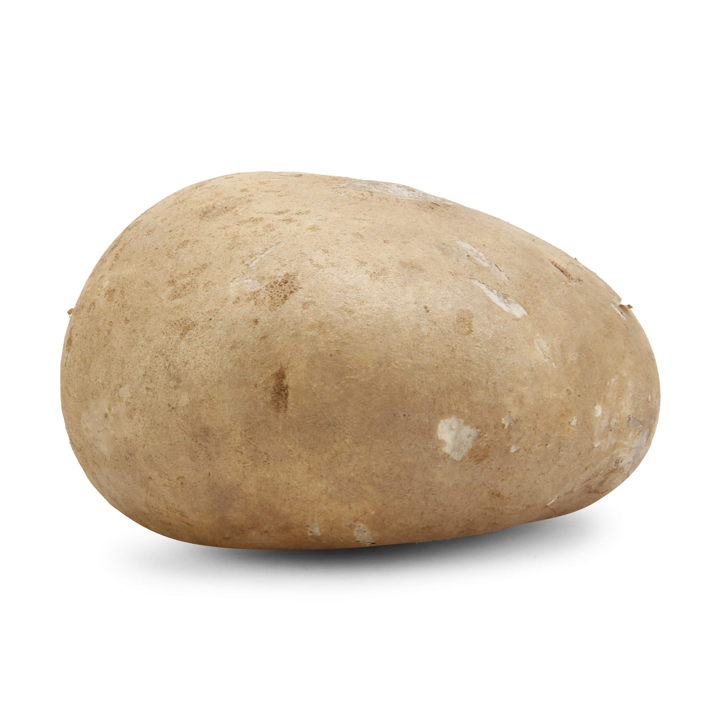 Root Jicama Conventional, 0.5lb