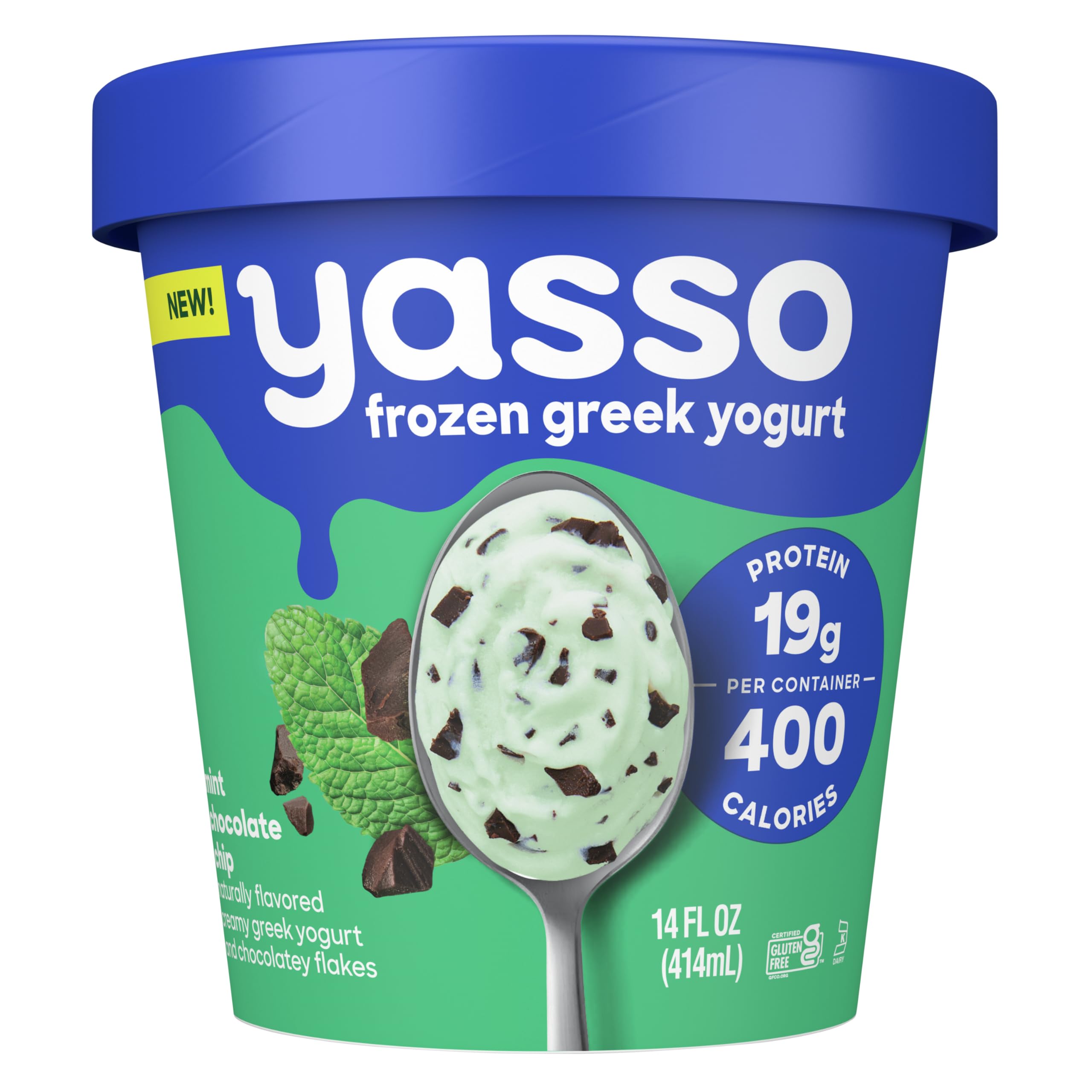 Yasso Frozen Ice Cream Mint Chocolate Chip, 14 Fl Oz