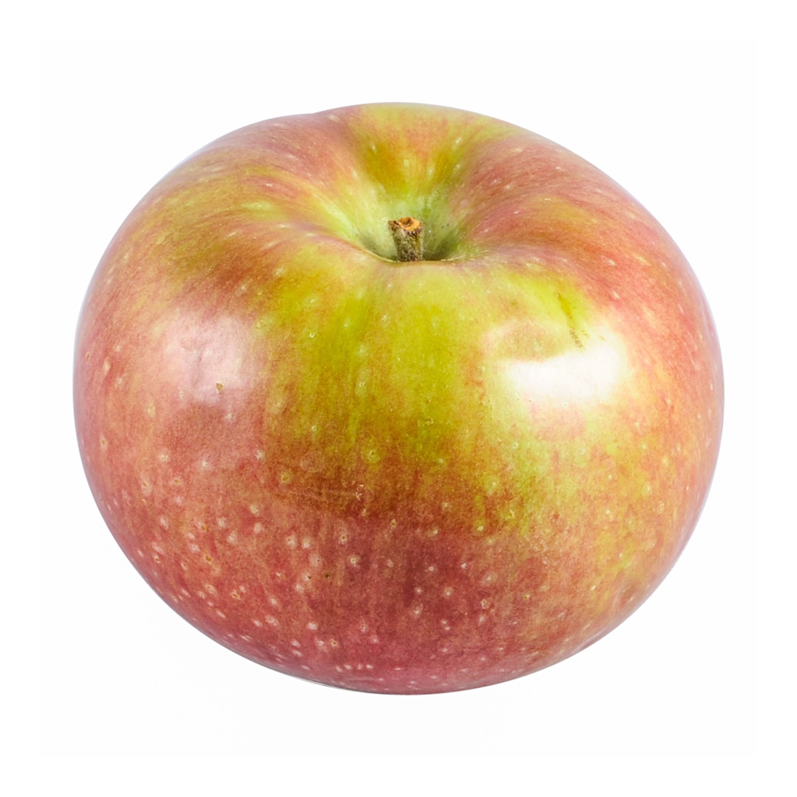 Macintosh Apples
