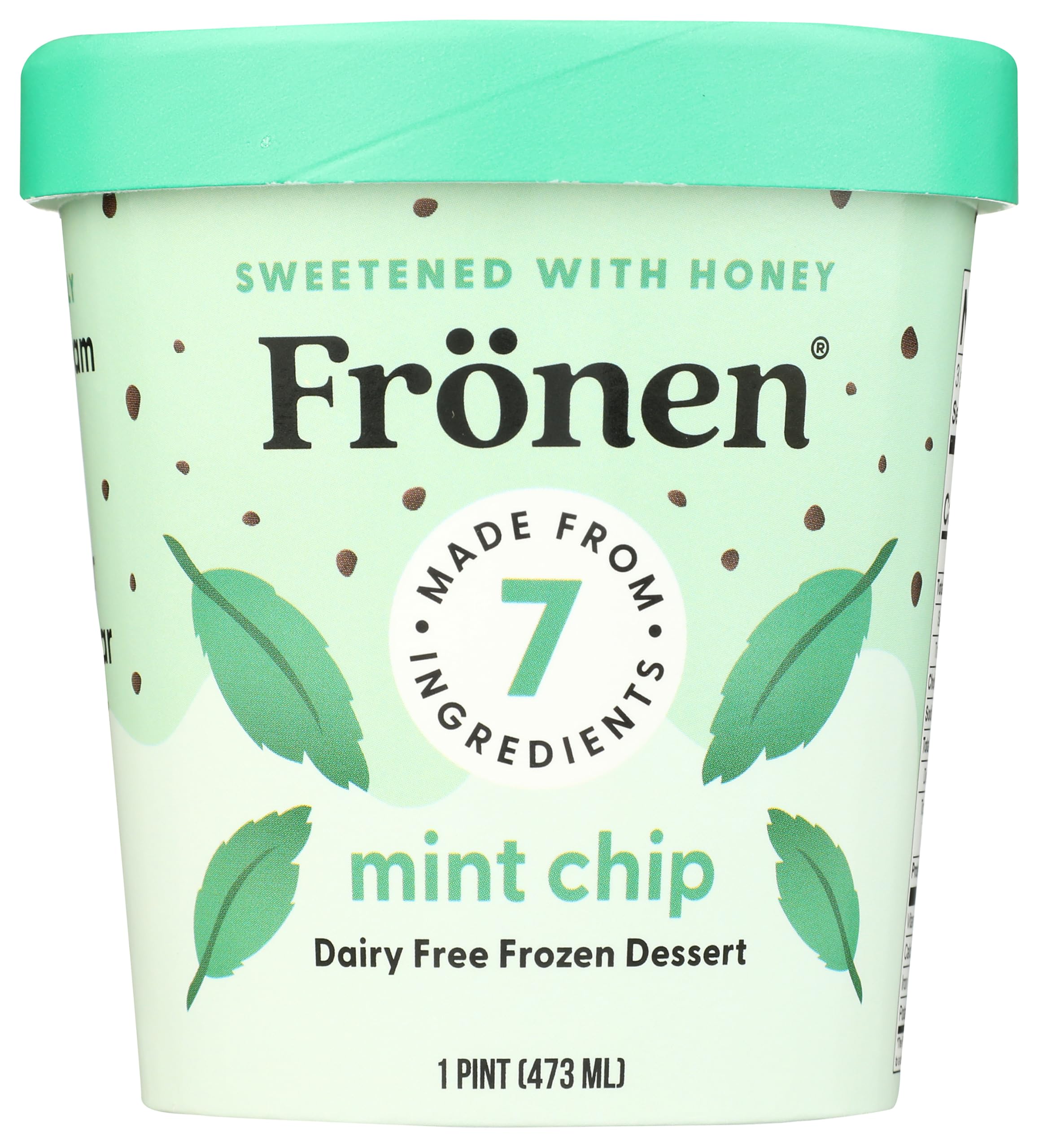 Frozen Dessert Non Dairy Mint Chip, 16 Fl Oz
