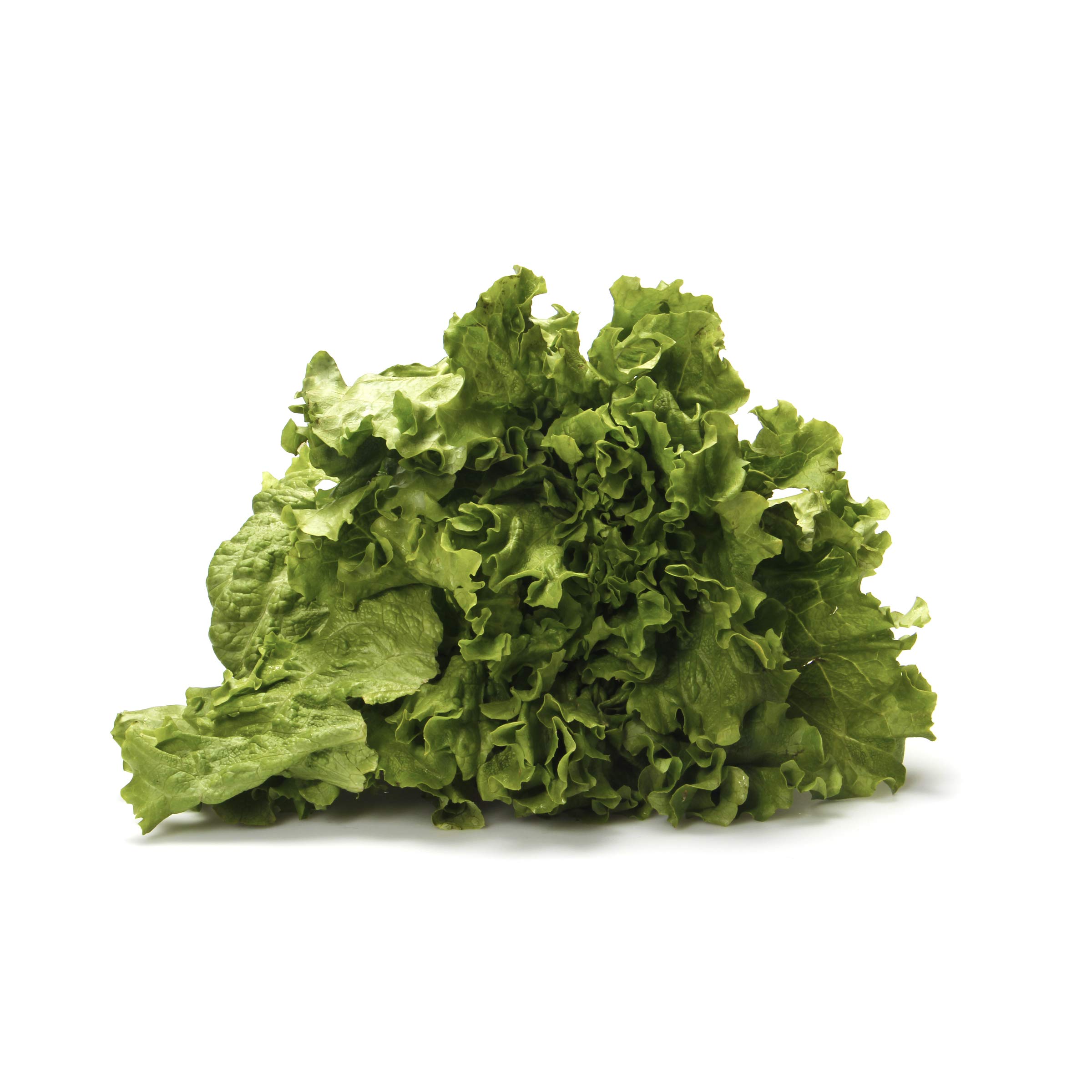 Lettuce Green Leaf Organic, 1 Each