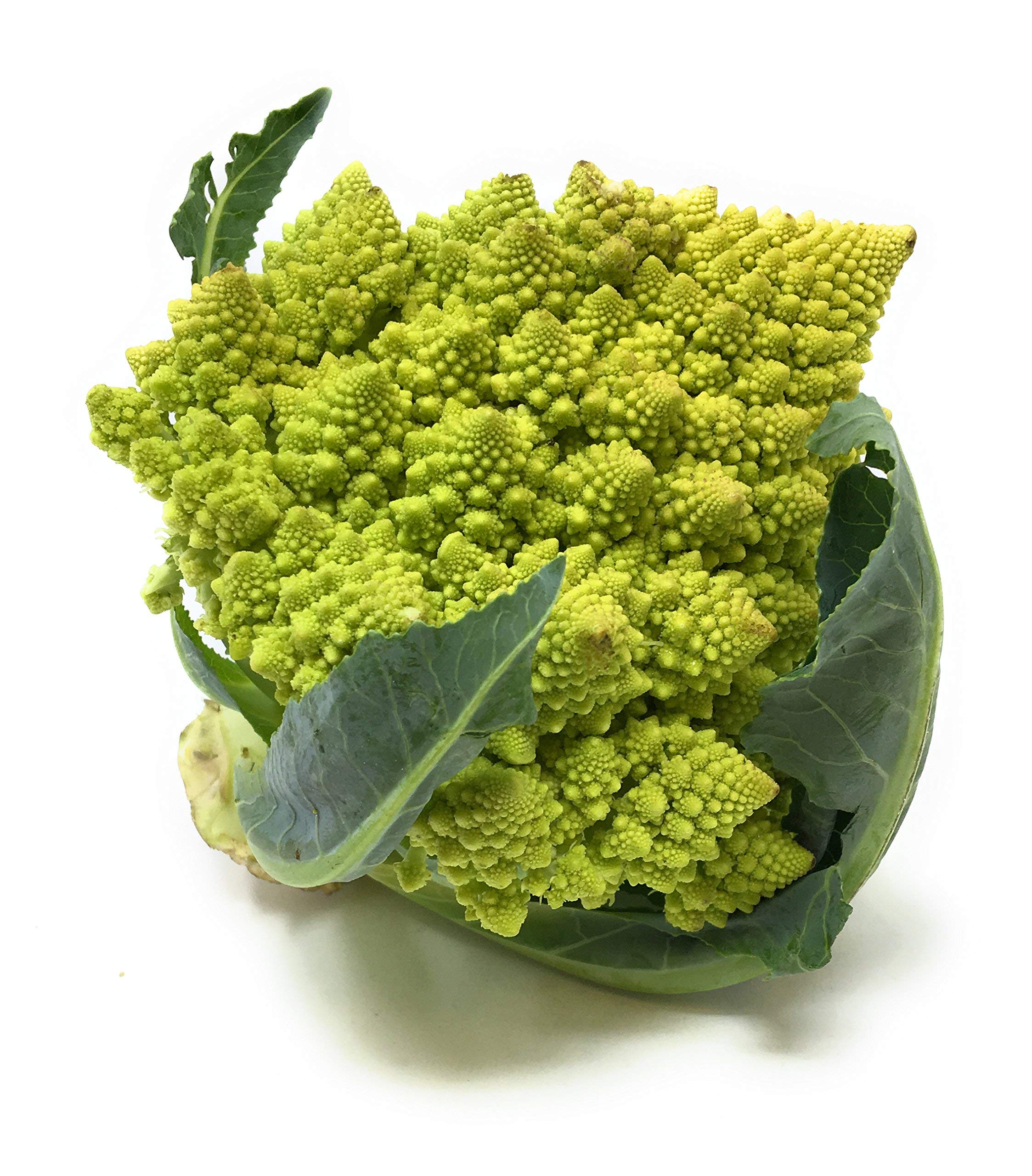 Organic Romanesco