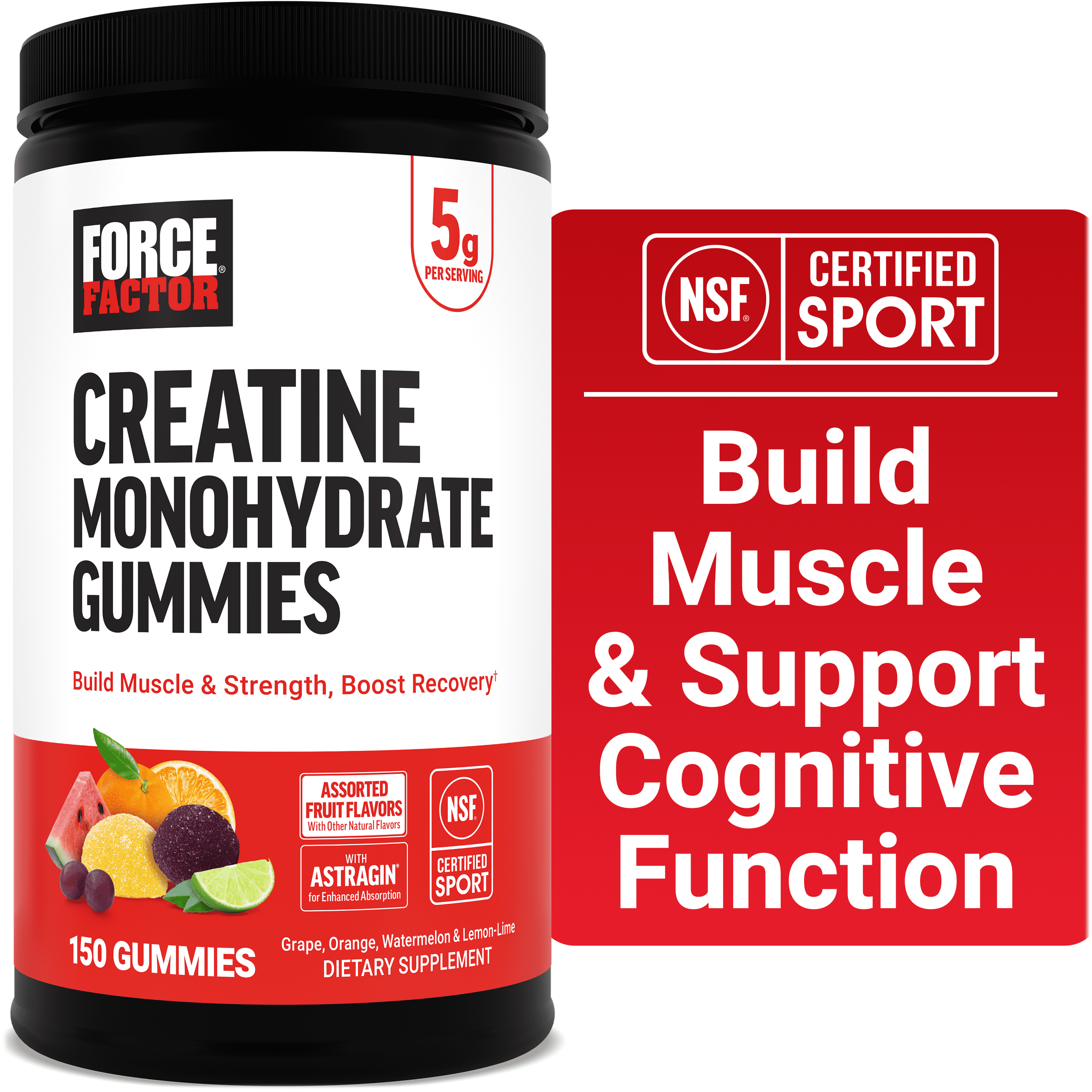 Force Factor Creatine Monohydrate Gummies, NSF Certified, 5g Dose for Men & Women to Support Muscle, Strength, Recovery, Cognitive Health & Memory, Assorted Fruit Flavors, 150 Gummies
