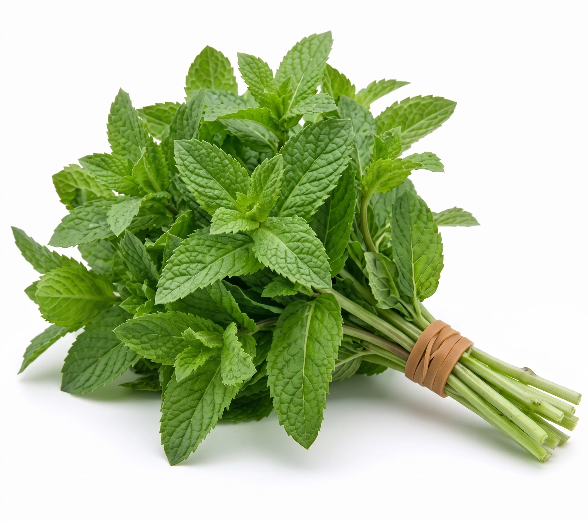 Fresh Whole Mint Herb, Bunch, Fresh Produce