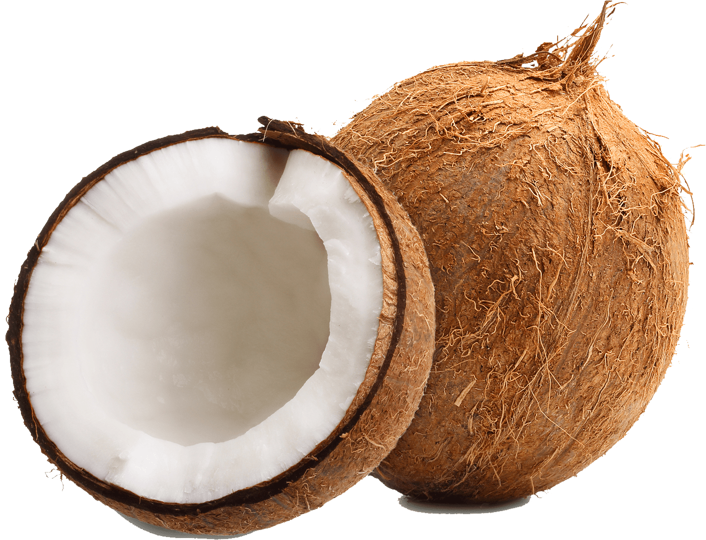 Fresh Coconut, Each