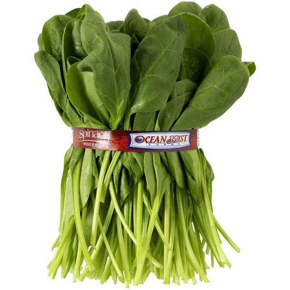 Fresh Spinach, Bunch