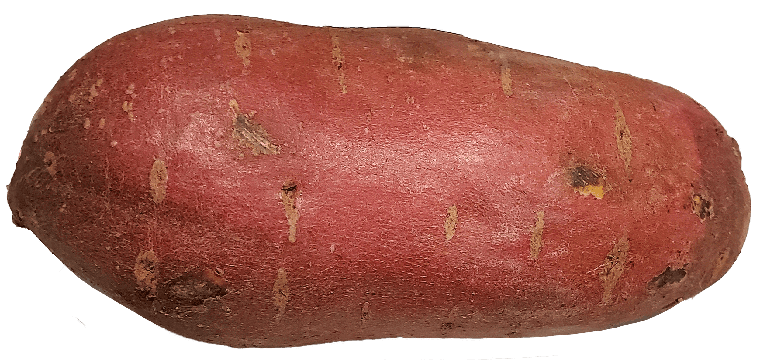 Fresh Whole Japanese Purple Yam