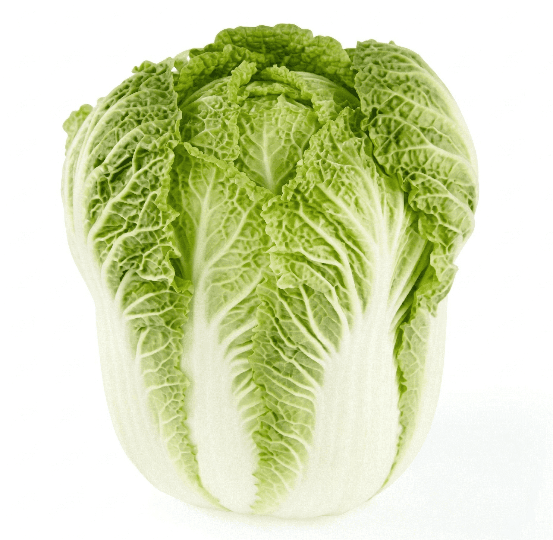 Fresh Whole Napa Cabbage Each, Fresh Produce