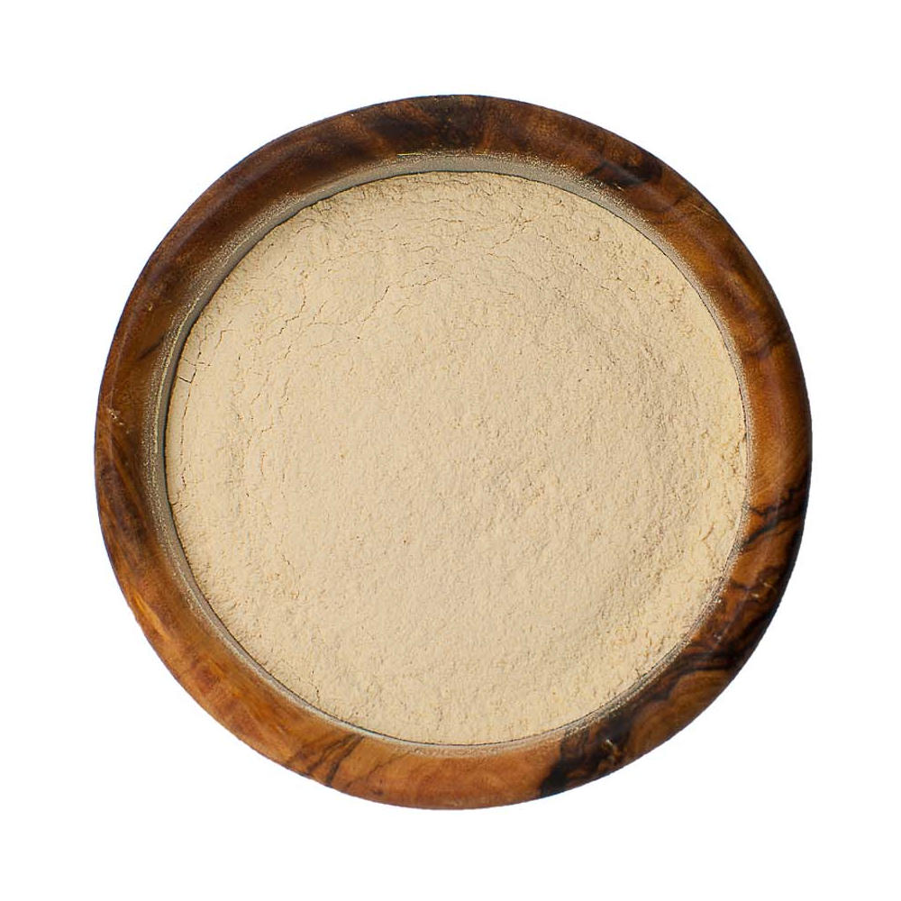 Southern Style Spices Bulk Garlic Powder, lb
