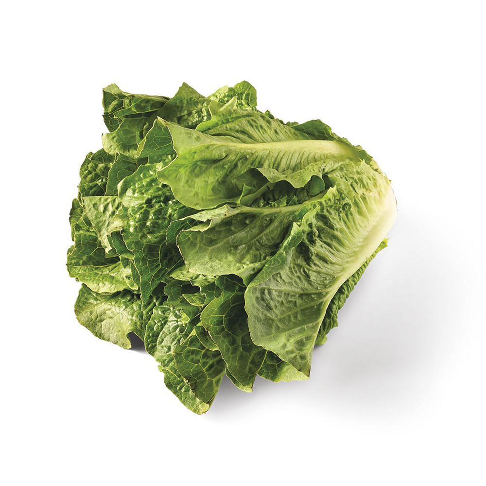 Fresh Organic Romaine Lettuce