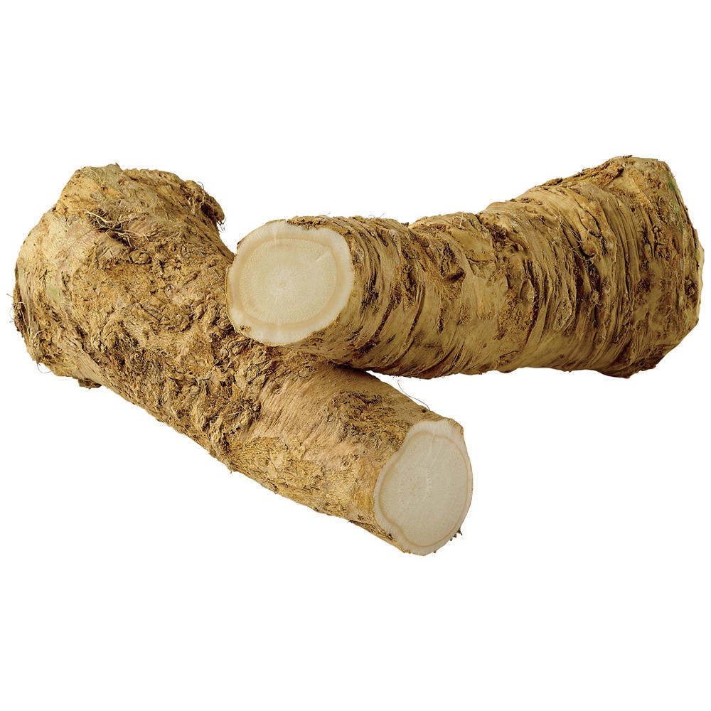 Fresh Horseradish Root, Avg. 1.5 lbs