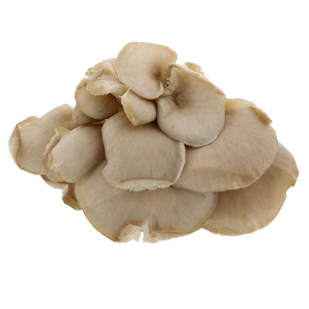 Fresh Oyster Mushroom, by lb