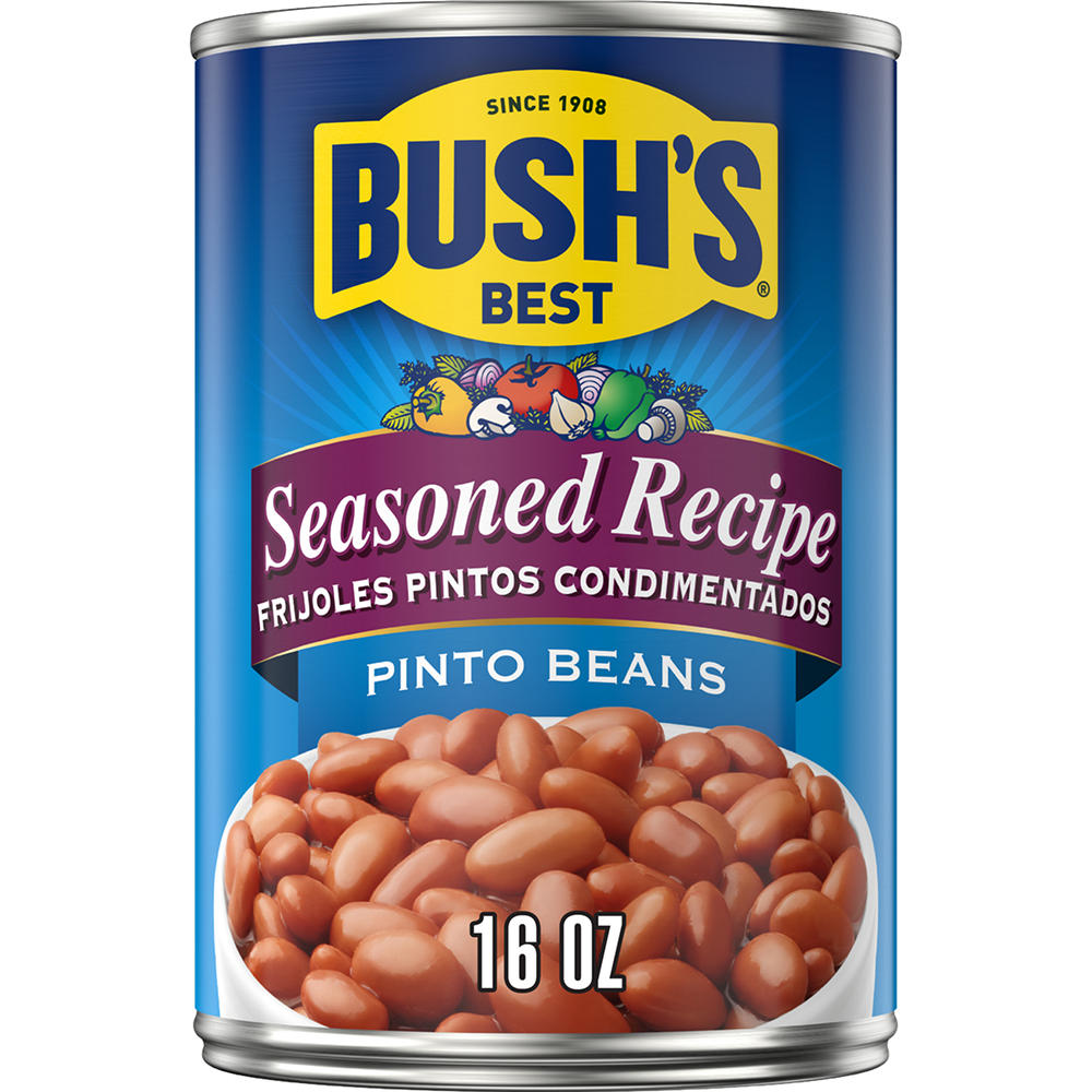 Bush's Best Seasoned Recipe Pinto Beans, 16 oz