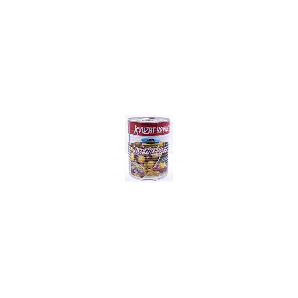 Kvuzat Yavne Can Olive Mixed, 19 oz