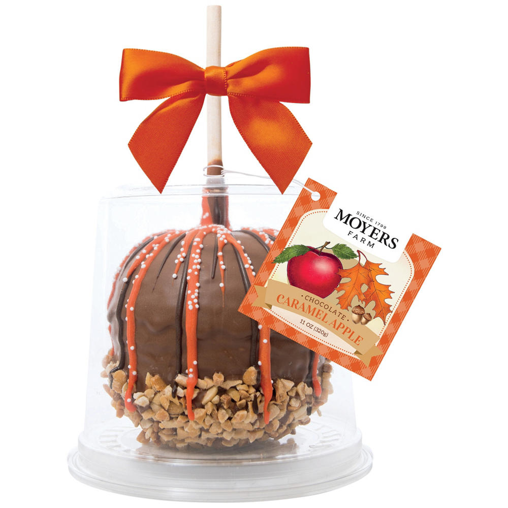 Moyers Farm Chocolate Caramel Apple