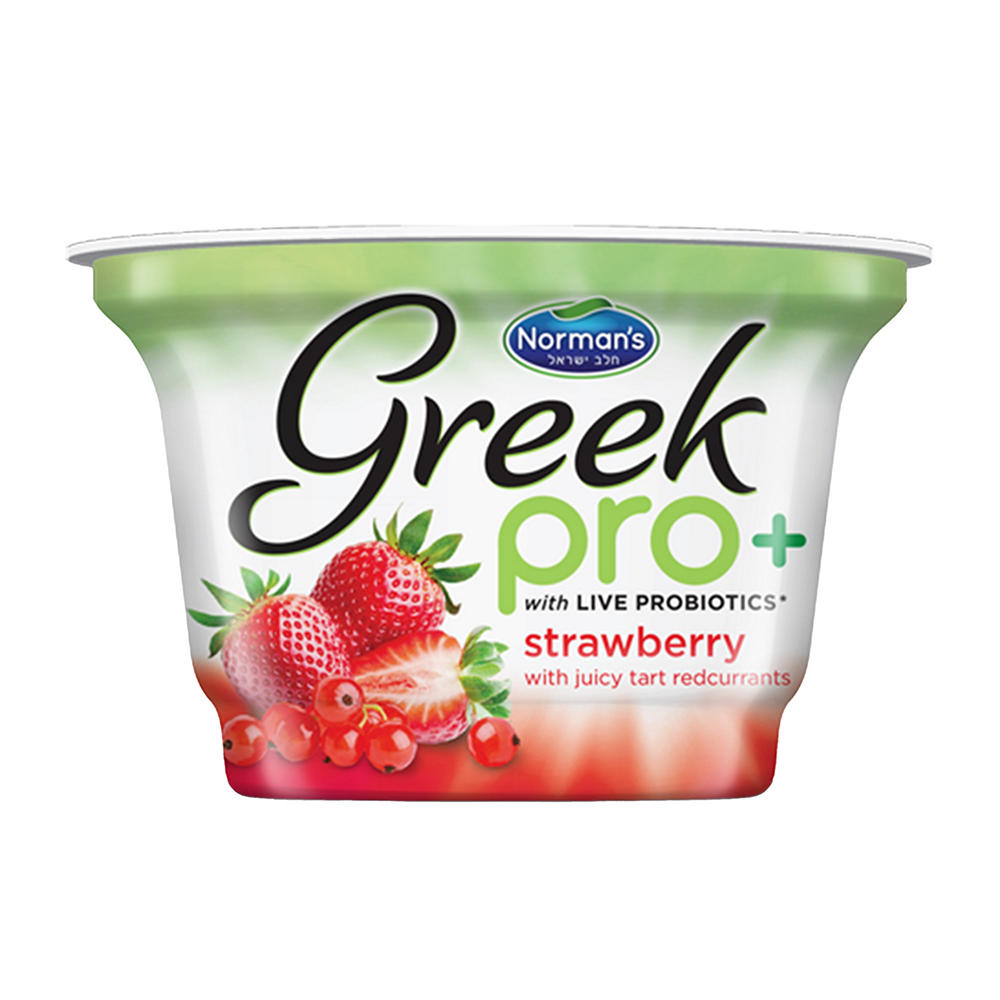 Norman's Pro + Strawberry Greek Yogurt, 5.3 oz