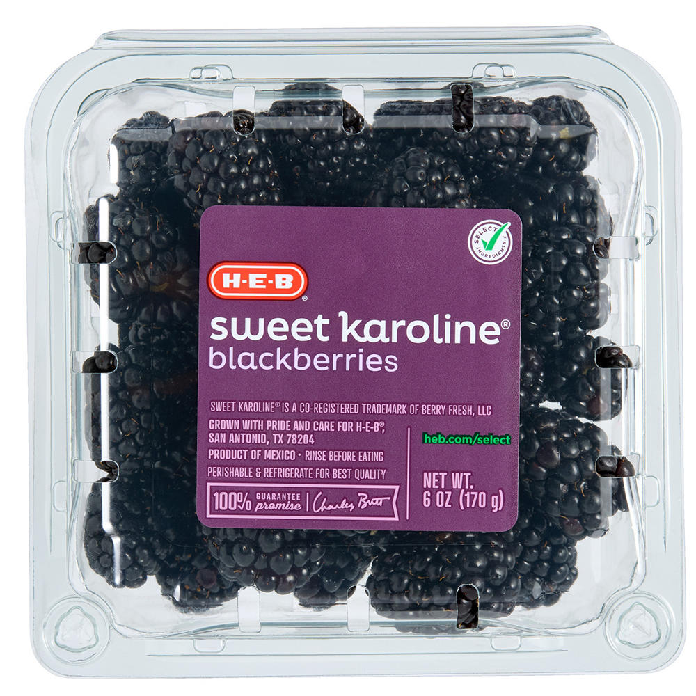 H-E-B Premium Fresh Sweet Karoline Blackberries, 6 oz