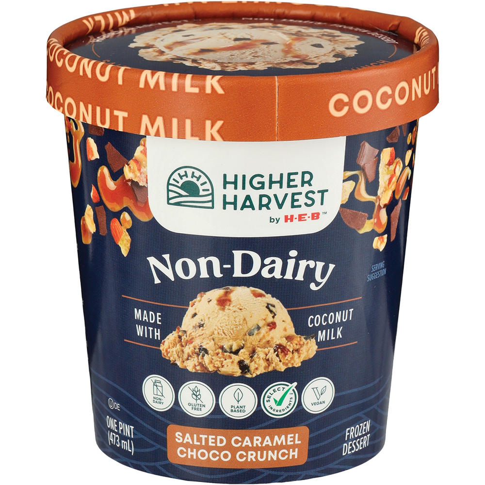 Higher Harvest by H-E-B Non-Dairy Salted Caramel Choco Crunch Frozen Dessert, 1 pt