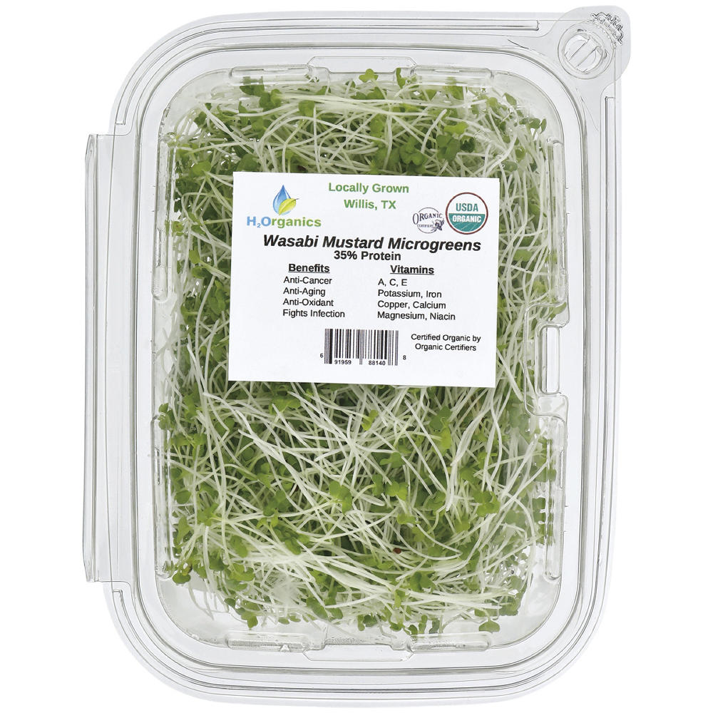 H2Organics Wasabi Mustard Microgreens