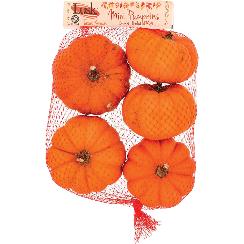 Fresh Mini Pumpkins, 5 ct