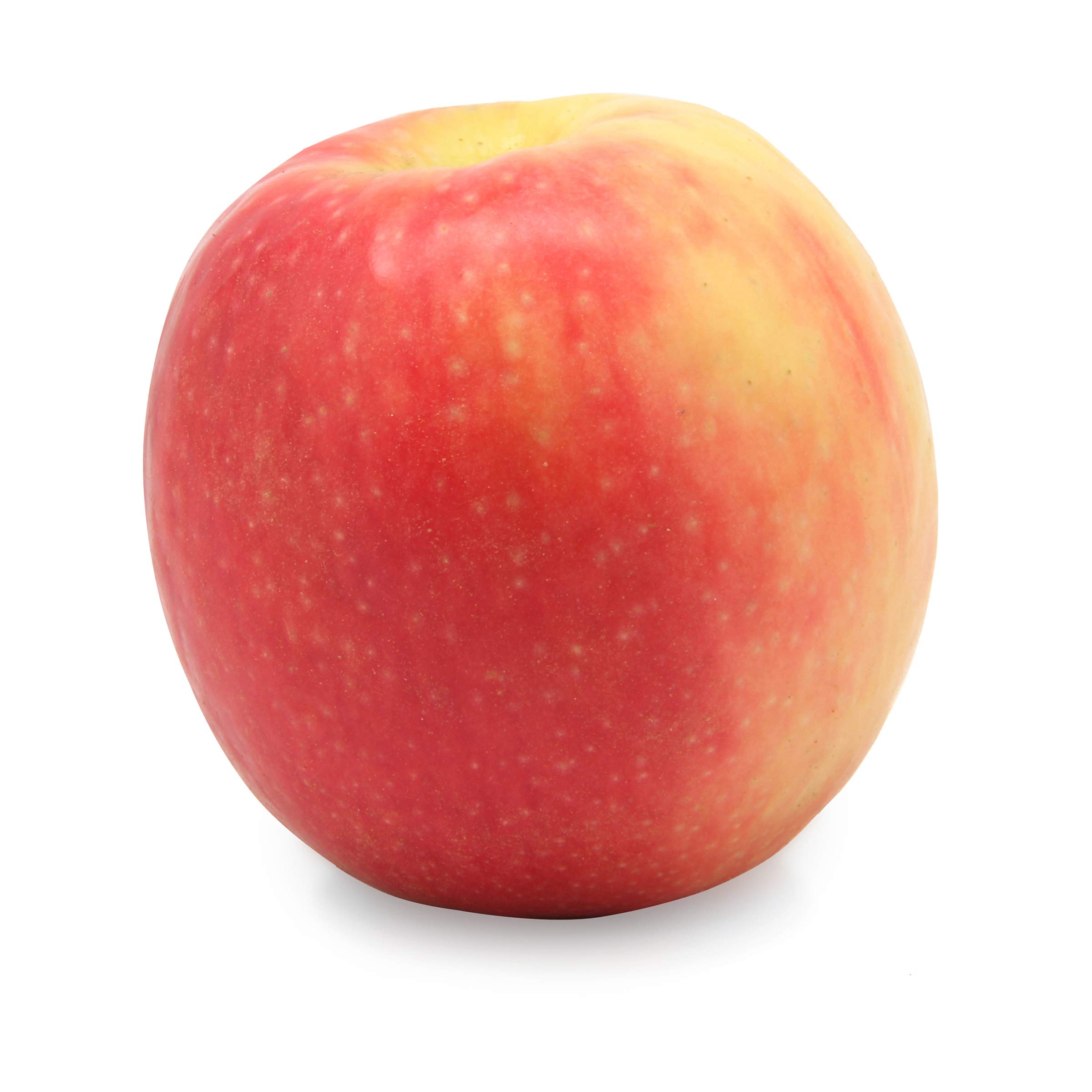 Organic Cripps Red Apples